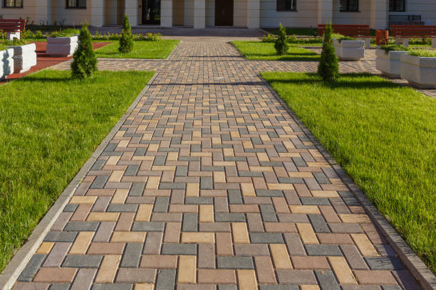 Best Driveway Drainage Solutions in Midway, KY